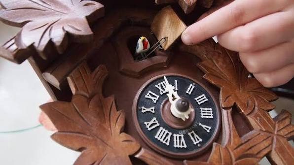 Cuckoo Clock Repairs / Antique Clock Repairs