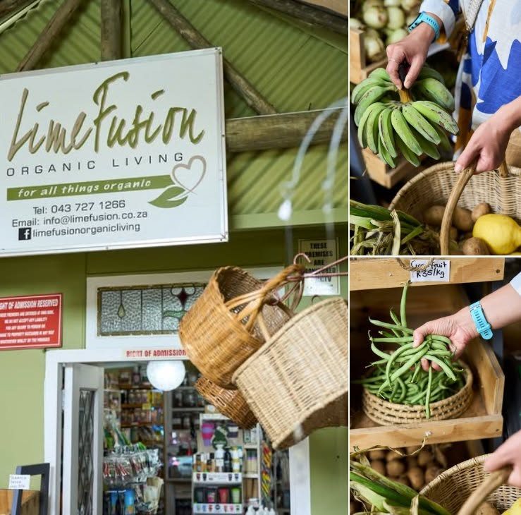 Lime Fusion Organic Living
