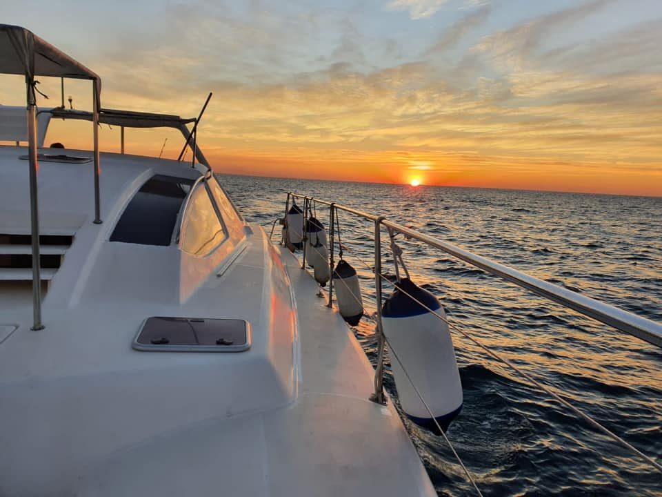 Southern Cross Cruises