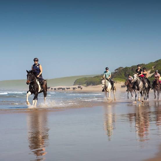 Wild Coast Horse Riding Adventures